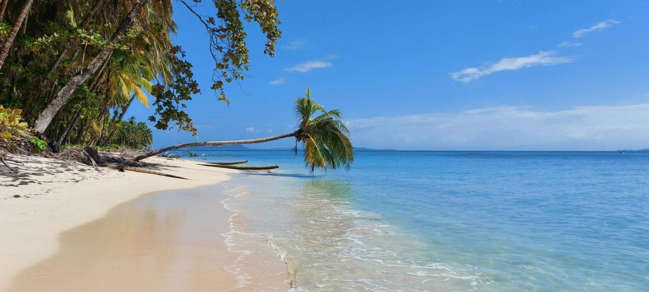 بوكاس تاون The Sunsetter Bed & Breakfast المظهر الخارجي الصورة