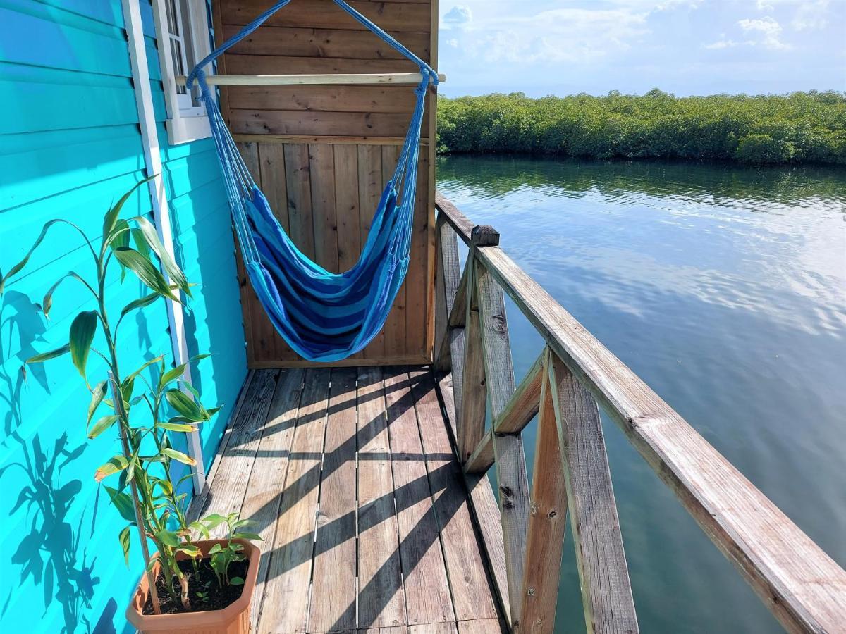 بوكاس تاون The Sunsetter Bed & Breakfast المظهر الخارجي الصورة