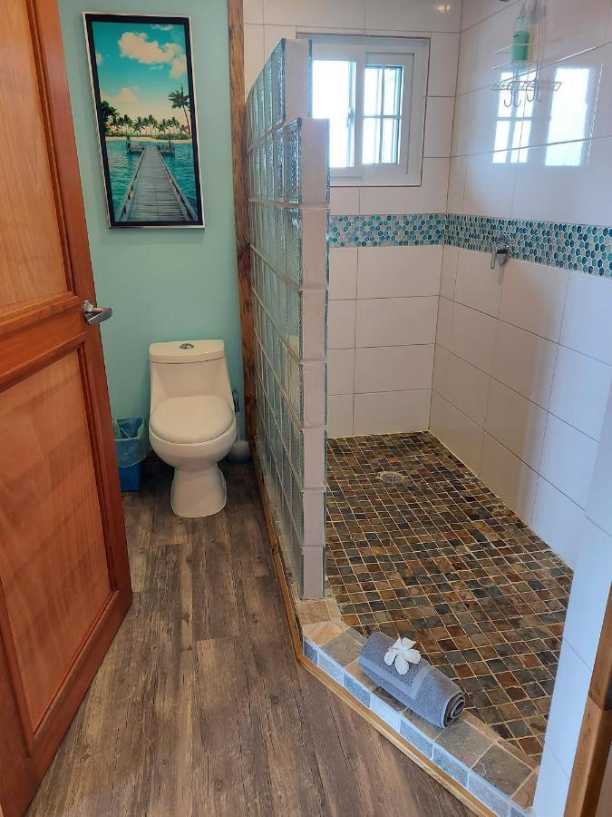 بوكاس تاون The Sunsetter Bed & Breakfast المظهر الخارجي الصورة