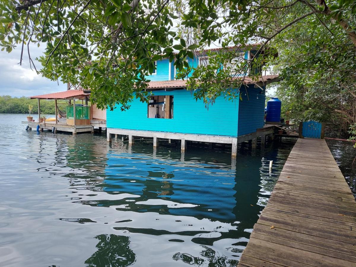بوكاس تاون The Sunsetter Bed & Breakfast المظهر الخارجي الصورة