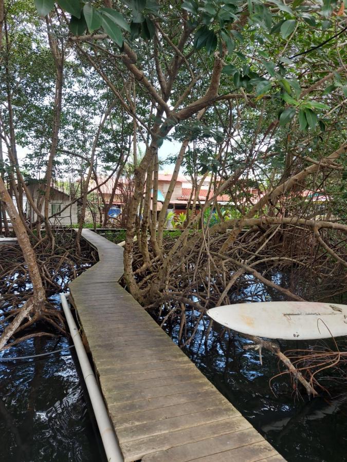 بوكاس تاون The Sunsetter Bed & Breakfast المظهر الخارجي الصورة